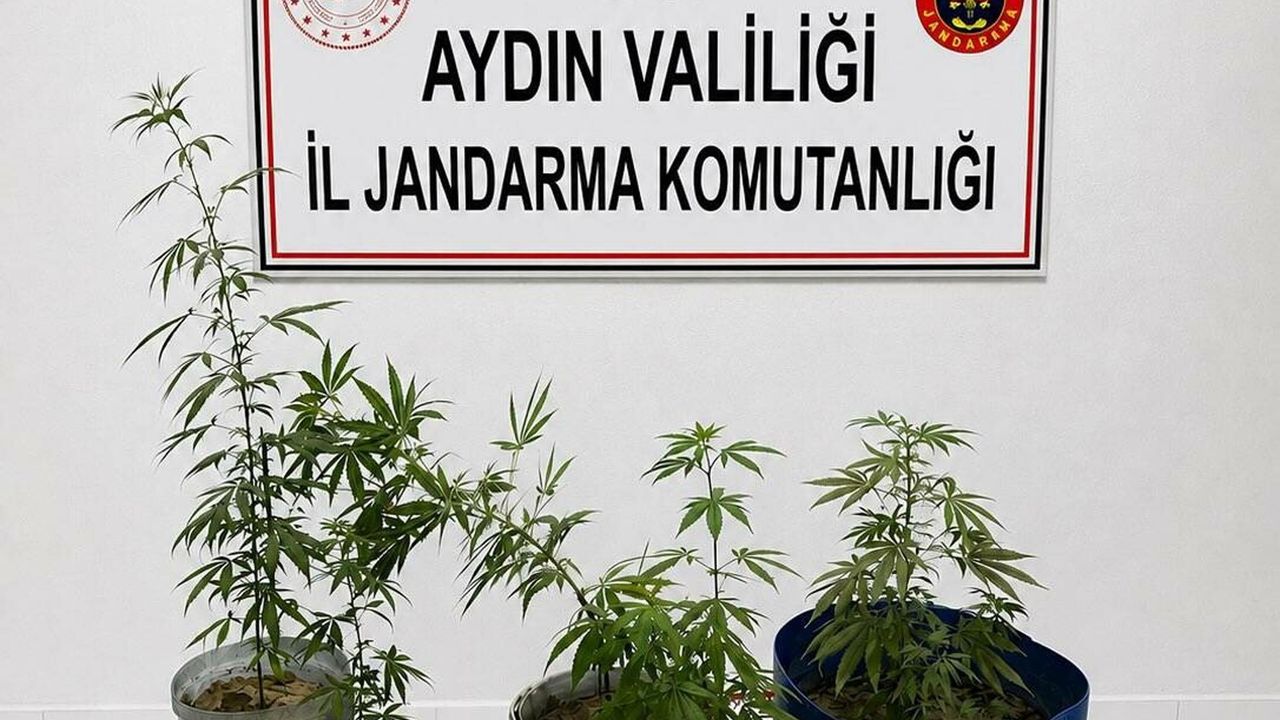 Kuşadası uyuşturucu