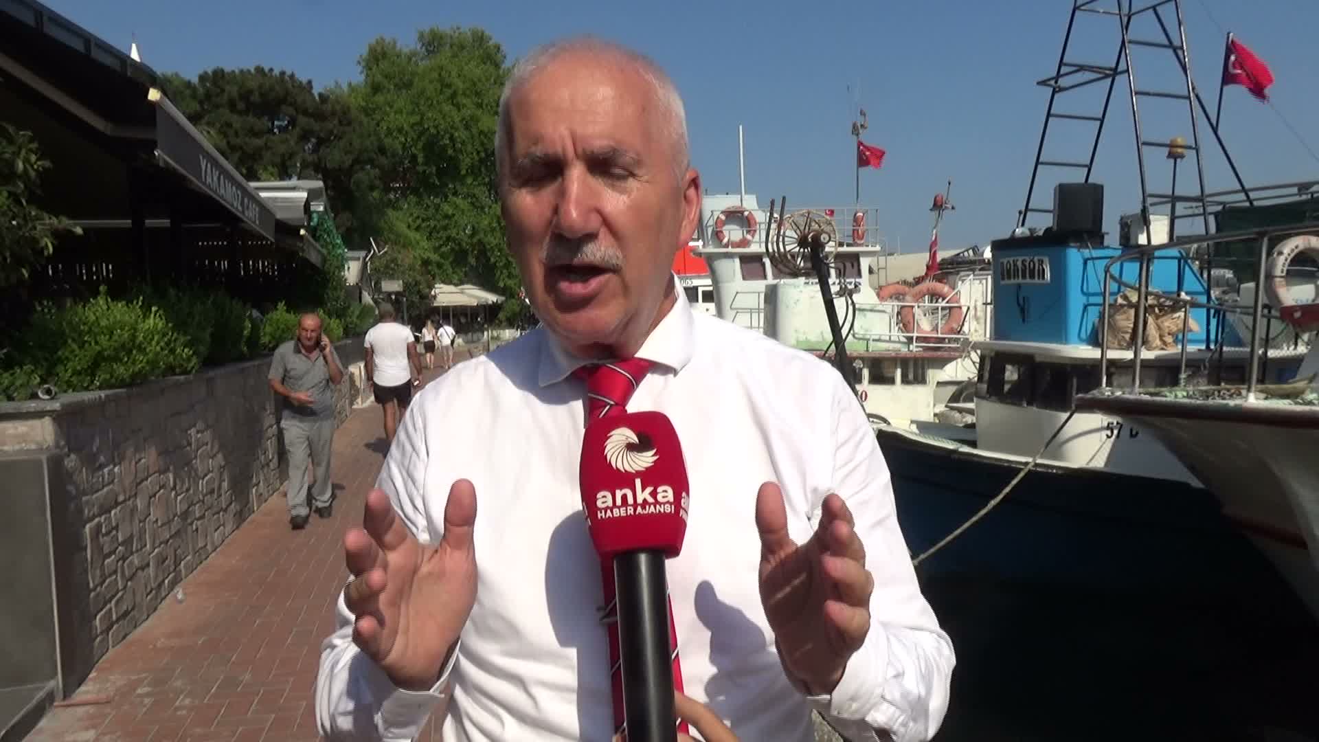 Palamut Avcılığı