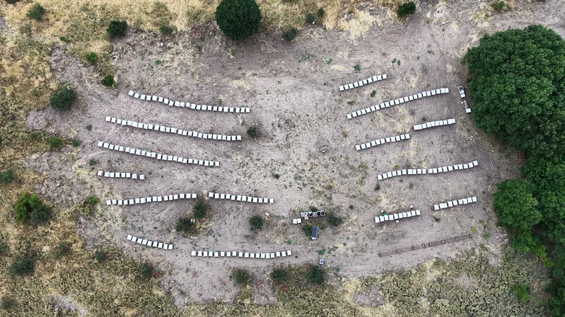 Tunceli bal sağımı