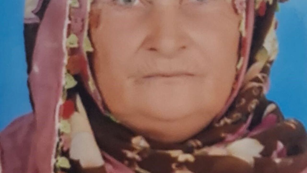 Cezire Avlukyarı