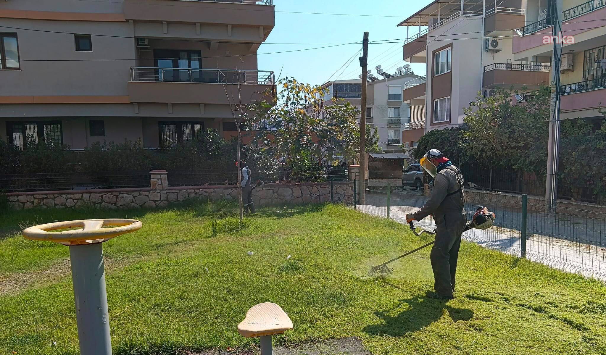 Didim Yeşil Alan Bakımı