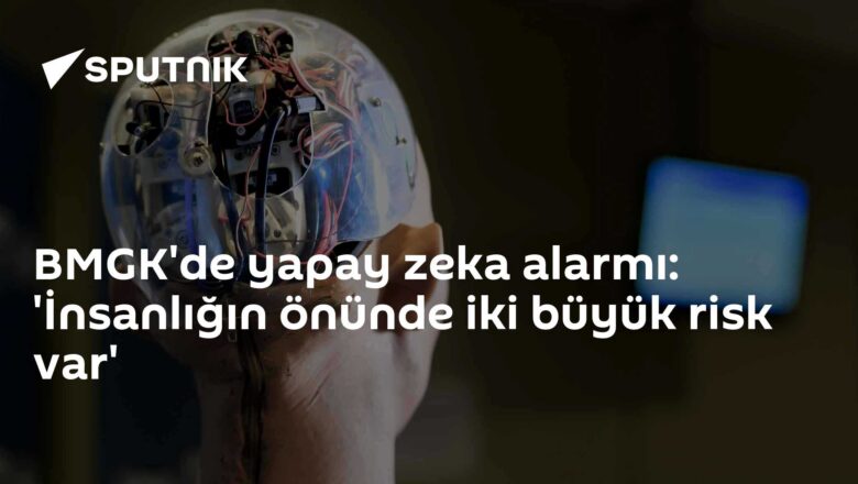 Yapay zeka riskleri